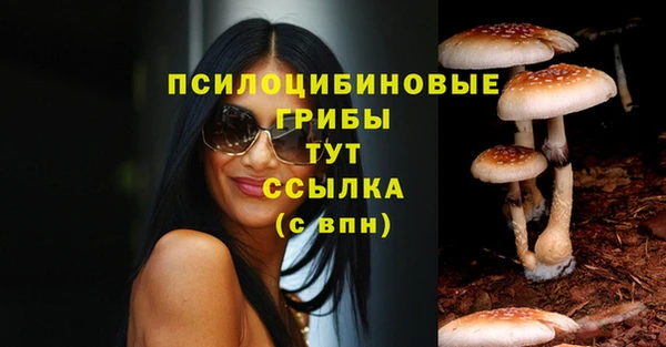 прущие крисы Арсеньев