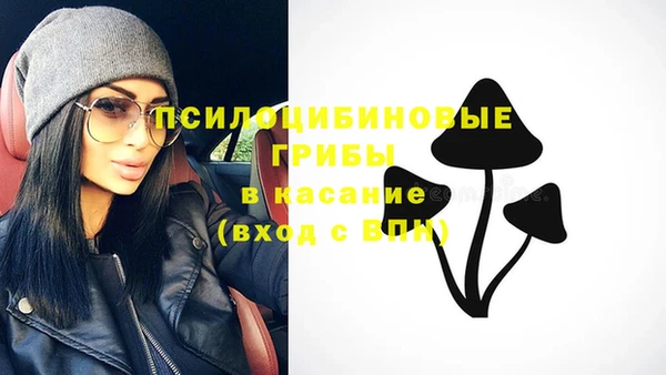 винт Аркадак