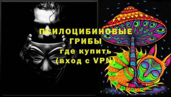 винт Аркадак