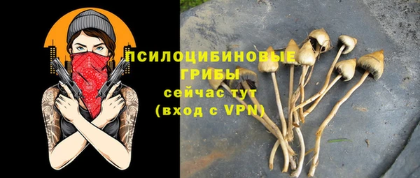 прущие крисы Арсеньев