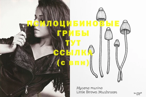 прущие крисы Арсеньев