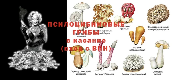 винт Аркадак