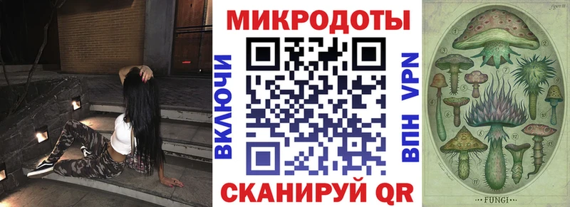 Купить где  Суоярви  Галлюциногенные грибы Psilocybe 